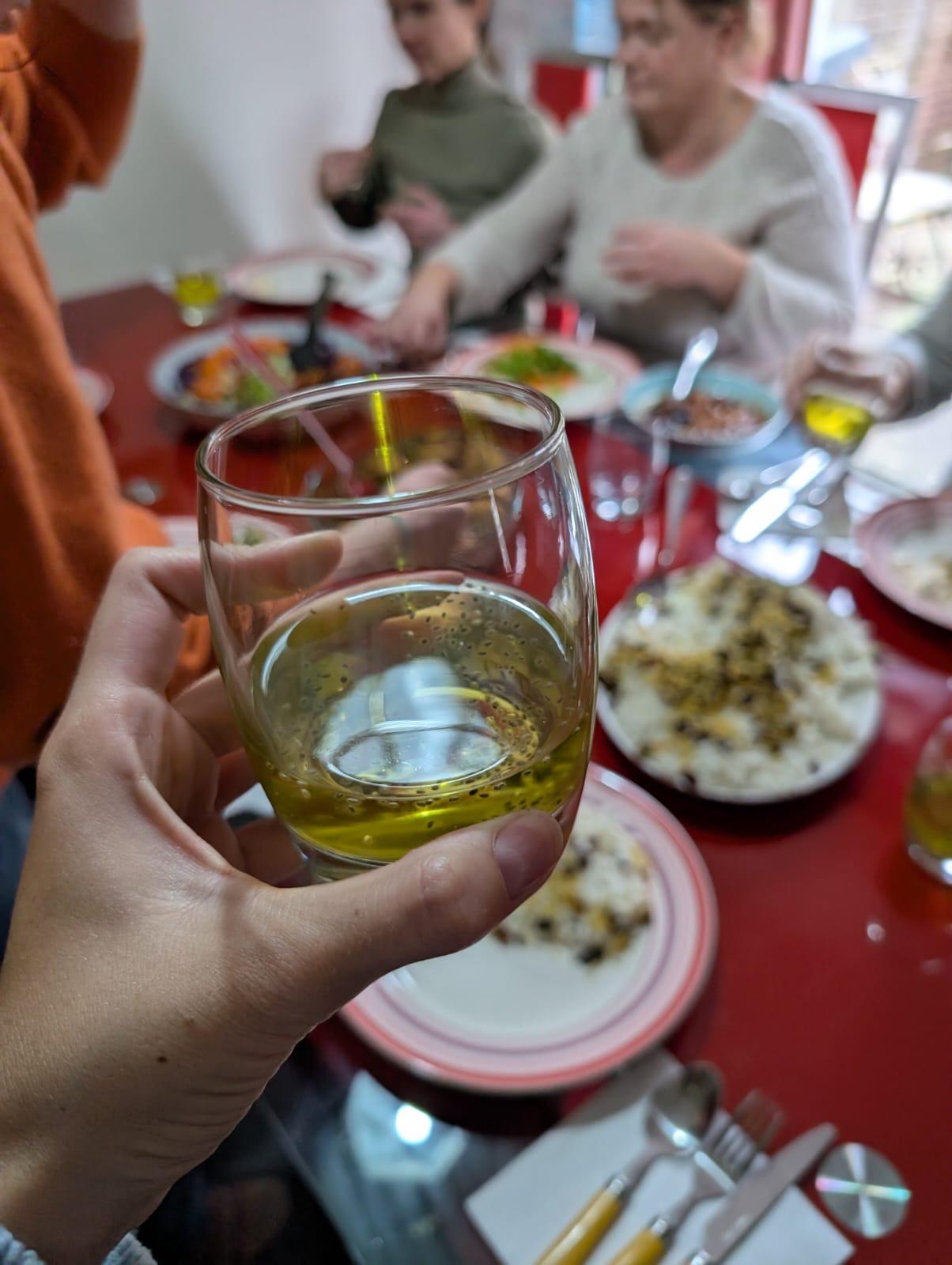 Mahtab’s Kitchen – A cozy Persian supper club experience